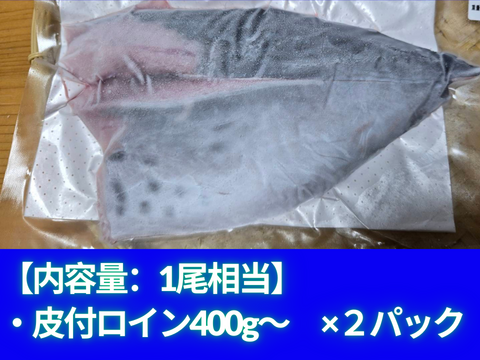 ﾓﾆﾀｰ価格　“媛スマ冷凍皮付ロイン(400g以上)×4パック”【2尾相当/箱】