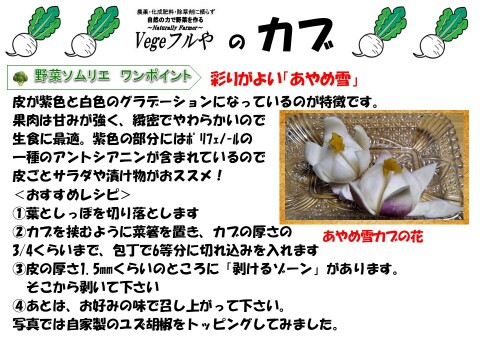 農薬未使用！旬の採れたて新鮮野菜おまかせ小セット（５～７品目）