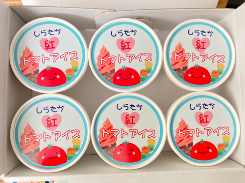 特産をひとさじに♡しらたか紅トマトアイス　6個入り
