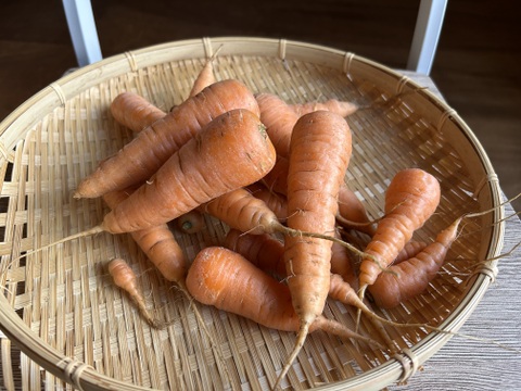 奥出雲産自然栽培人参(800g)