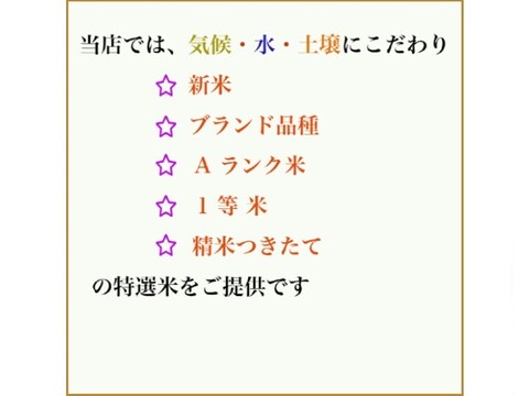 定番のはえぬき5kgx2袋  1等米 A米 無洗米 令和6年山形産