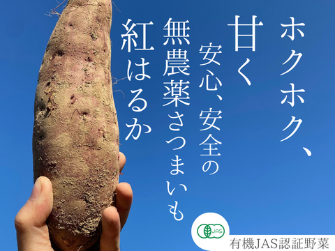 有機JAS認証野菜 さつまいも ご家庭用 サイズ混合 5kg