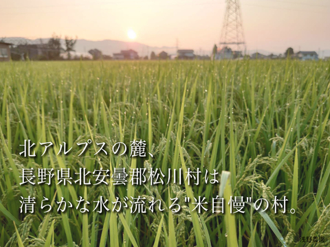 令和5年度産 北アルプスの麓で育んだお米 長野県松川村産コシヒカリ10kg 精米歩合を選べます