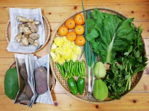 【農薬化学肥料不使用】ミカン入り野菜セット【８種類以上の野菜】【金曜日発送】【熨斗(のし)対応可】【８０サイズ箱】