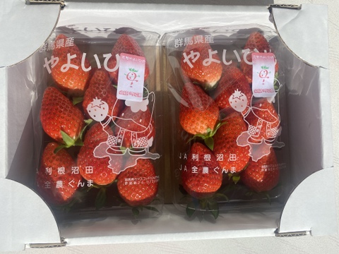 甘くてジューシー♪大粒をぜひ丸かじりで‼︎【完熟やよいひめ】サイズおまかせ2パック入り