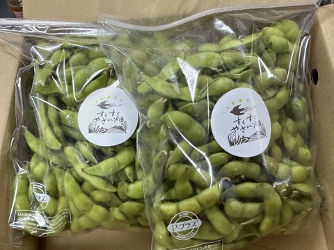 【朝どれ】2025年　山形県鶴岡特産『枝豆』だだちゃ豆 500g×2