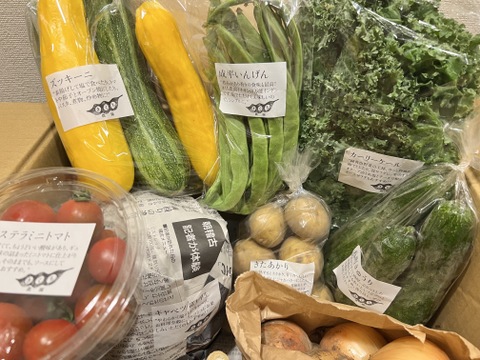 野菜セットＭサイズ（9〜10品）【農薬・化学肥料・動物性堆肥｜不使用】