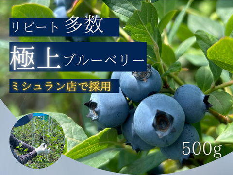 ★完熟生ブルーベリー2kg★ ☆完熟生ブルーベリー2kg☆ - メルカリ