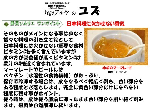 農薬未使用！旬の採れたて新鮮野菜おまかせ小セット（５～７品目）