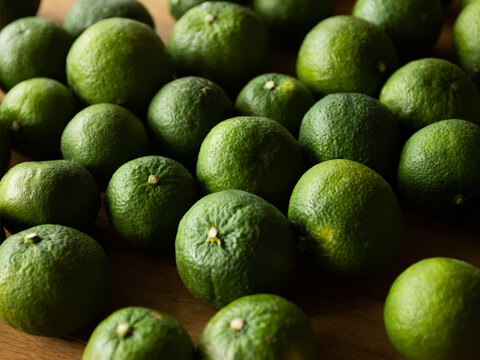 【福袋】贈答用（特選品）ジャバラ2.5kg 和歌山 355-1h