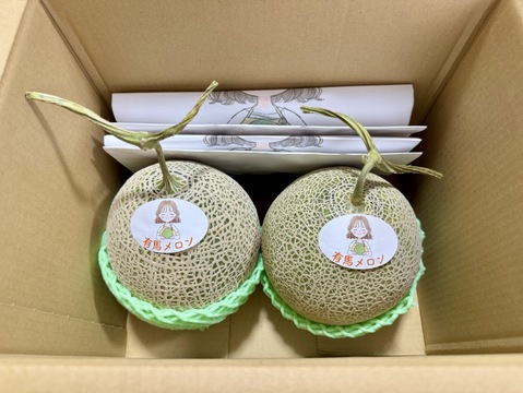 【県知事賞受賞】有馬温泉の麓産 特秀品 赤肉メロン🍈 超特大6L 1玉｜土づくりと甘さにこだわった農薬節約栽培🌱 兵庫県産 レノン《7月中旬頃〜発送🚛³₃》【お中元】【夏ギフト】【特秀品】