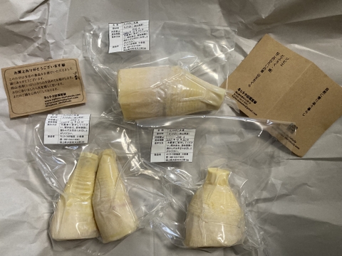 旬✨朝堀り【水煮たけのこ】（700g）お手頃サイズでとっても柔らか♪（岡山県産筍）