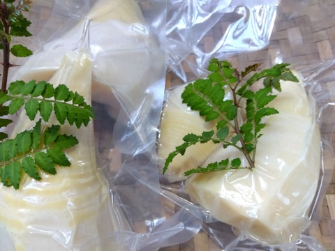 山菜たっぷりセット
あく抜きワラビ２００ｇ２パックと
タケノコ水煮　１ｋｇ　
クール便対応で新鮮なままお届けいたします。