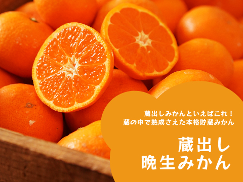 蔵出しみかん晩生10kg｜日本農業遺産認定の和歌山県海南市下津町の特産品