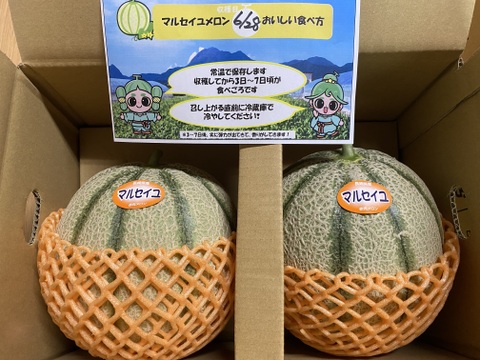 まほろば浪漫🍈マルセイユメロン (2玉1箱)