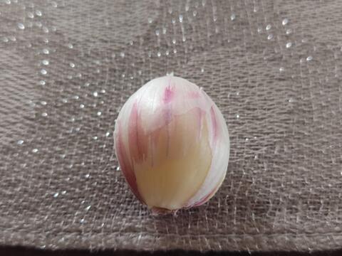 ✨🧄【希少・香り高い】紫ニンニク 計1kg🍳イタリアンやアヒージョに最高！🔥｜濃厚な旨味を楽しむ旬のニンニク｜農薬・化成肥料不使用🧄✨