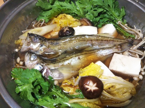 特大ハタハタメス１㎏&大オス１㎏