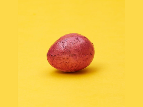 【冬ギフト】taneco 種子島生まれの安納やきいも 保冷バックセット（冷凍）