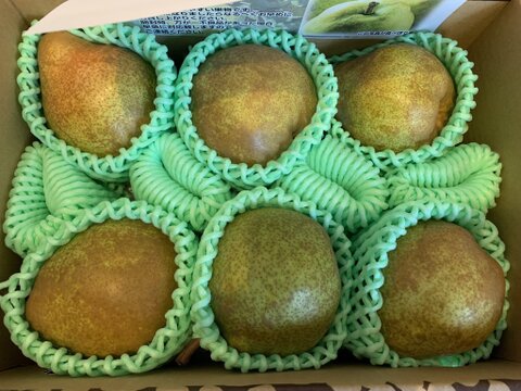 【早出し！100箱限定】 食べ頃ラフランス！ プロが食べ頃まで追熟！ 【 訳あり品 ラフランス！】 約2㎏ ご家庭用やおすそ分けに丁度いい！ R06-01-01