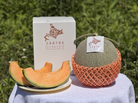 【訳あり】北海道夕張産［ツナガルメロン］（4～6玉 ）｜みんなで味わう、5つの物語の詰め合わせセット