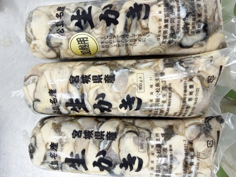 加熱用🔥1年牡蠣 生出荷🚚1.5kg(500g×3本）🦪むき身・剥き身牡蠣 生牡蠣🍳加熱用にも使用可能！🏝️松島牡蠣屋 牡蛎 カキ かき kaki カキフライ 牡蠣鍋 牡蠣ご飯 バター焼きに