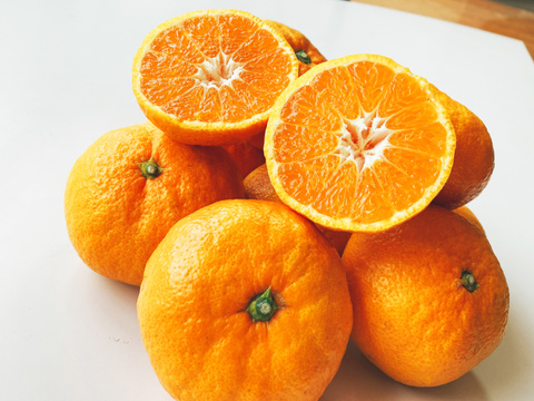 おっきくっても甘くて濃厚青島みかん５ｋｇ　訳あり品