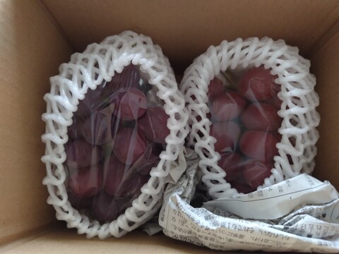 長野県限定品種！クイーンルージュ1房（約500g）