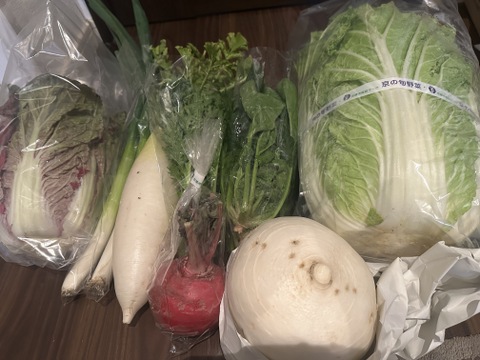【食べ比べ】京の冬野菜セット2026【漢方栽培】