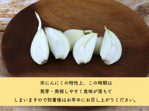 【熊本県産】 有機にんにく王（無選別１㎏入)