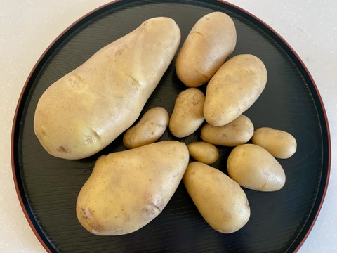 お得！【訳アリ】メークイン箱込4ｋｇ（本州の方限定）