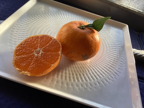 今食べてほしいたべごろに仕上げ　石積み潮風段々畑の石地みかん1.5kg　SMサイズです傷などはありますがミカン好きはぜひ7箱まで送料同じ