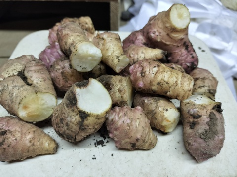 お楽しみ★農園自慢の情熱野菜セット　18袋　発送タイミングおまかせ　フードロス対策　パチャママ農園