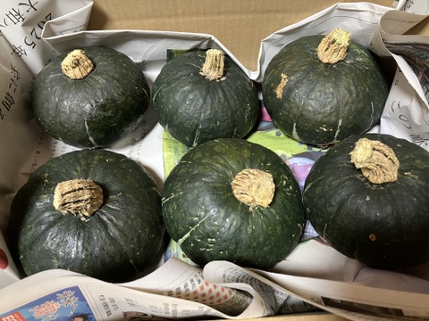 自然栽培冬至用坊ちゃんかぼちゃ2kg4-6玉