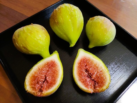 【樹上完熟いちじく！食べ比べ】 バナーネ・桝井ドーフィン１２個（農薬不使用）