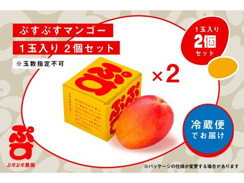 夏ギフト】宮古島産完熟マンゴー1玉入り×2個セット：沖縄県産の