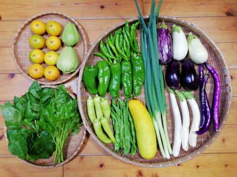 【農薬・化学肥料不使用】早生ミカン付き野菜セット【８種類以上の野菜】【金曜日クール便で発送】【あわせ買い可】【熨斗(のし)対応可】（８０サイズ箱）