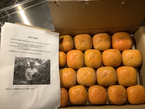 みんなで秋をかじろう！和歌山秋の味覚　たねなし柿　家庭用　お得な大容量7.5kg（総重量）30～40個入　※9月28日から順次発送です。