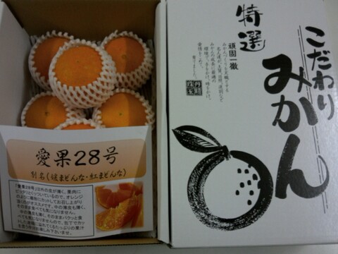☆ぷるぷるっとした口どけ☆彡☆   「愛果２８号 【まどんな】」  贈答用 ３.５kg 
   　濃厚な果汁が口いっぱいに広がるくちどけ！  プルプル食感