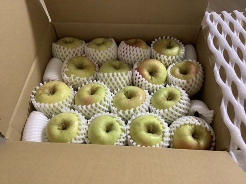 【販売開始！！贈答用】 青森県産りんご「ぐんま名月」 約5kg【光センサー選果】【冬ギフト】