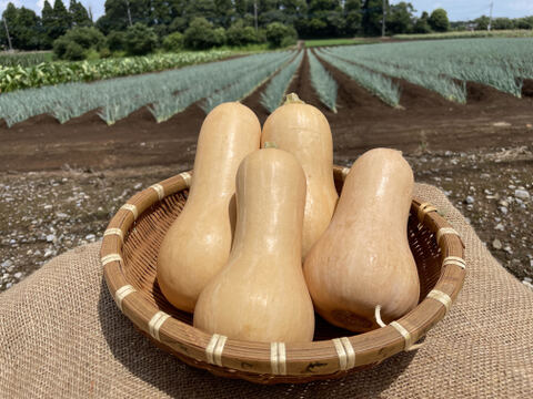 留守農場のまろやかバターナッツ詰め合わせ（３㎏）