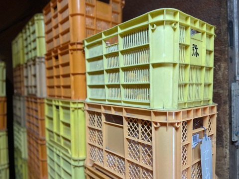 蔵出し極熟せとか 2kg　～眠りから覚めた、とろける甘さ～