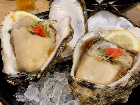 三重県産 生食用 天然 岩牡蠣 （Mサイズ150～200g）（8個入り）
期間限定販売 牡蠣 貝類 海鮮バーベキューに BBQ