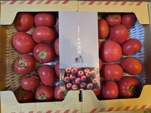 【北海道産】🍅樹上熟3段採り🍅桃太郎トマト4kg（約2キロ箱× 2） 〈訳あり品〉【朝どれ】