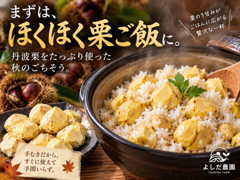 【丹波栗】ひと粒ずつ丁寧に手むき 冷凍むき栗 500g 2026年収穫 むき栗 産地直送 栗 栗ご飯 剥き栗