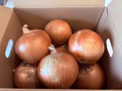 【野菜ソムリエサミット金賞🏆】淡路島玉ねぎ3kg