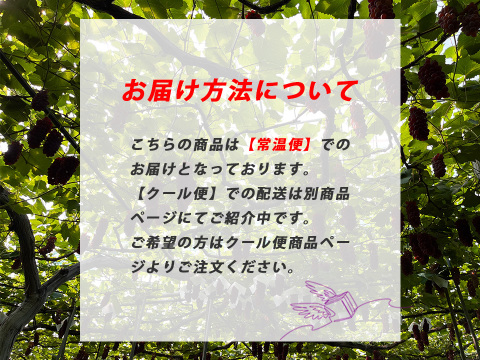 【山形】ジューシー！深い甘味！ 王道デラウェア 2kg(12～16房）贈答用 ギフト ご家庭用 お子様にも喜ばれます♪  ◎常温便◎