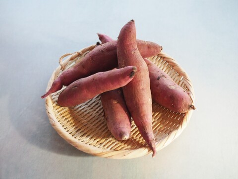 なんと５品種の食べ比べ！べにはるか、べにまさり、栗かぐや、シルクスイート、すずほっくり！