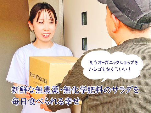 新鮮！採れたて！農薬・化学肥料不使用！ケールとレタスの定期便 6個セット
