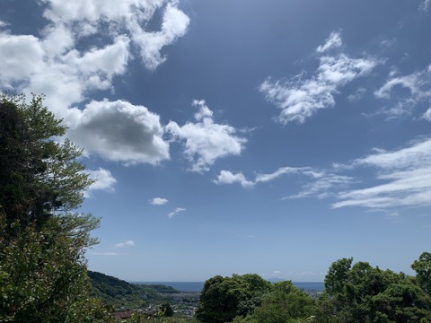 まじりっけなし！｢小梅｣2kg 自然栽培 農薬不使用