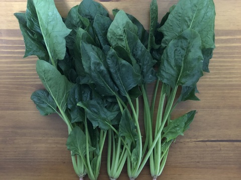 ほうれん草（200g x 3袋）+ 小松菜（250g x 2袋）　＜農薬・化学肥料不使用＞